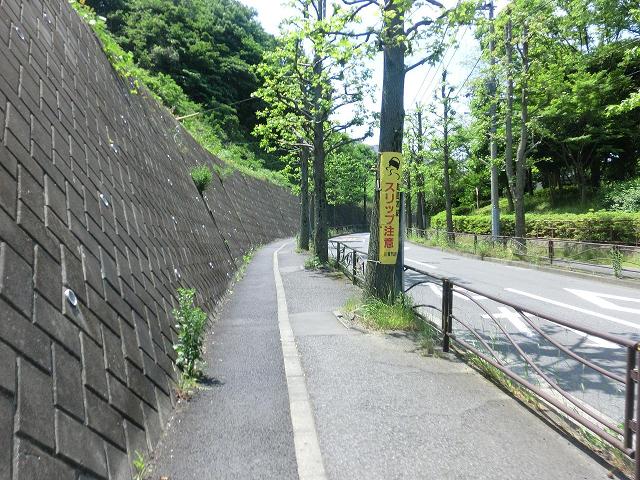 京王稲田堤駅からヴェルディグラウンドへの道６（徒歩）