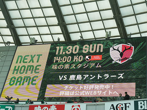 ���F���f�B�@�T�b�J�[�@�i���[�O